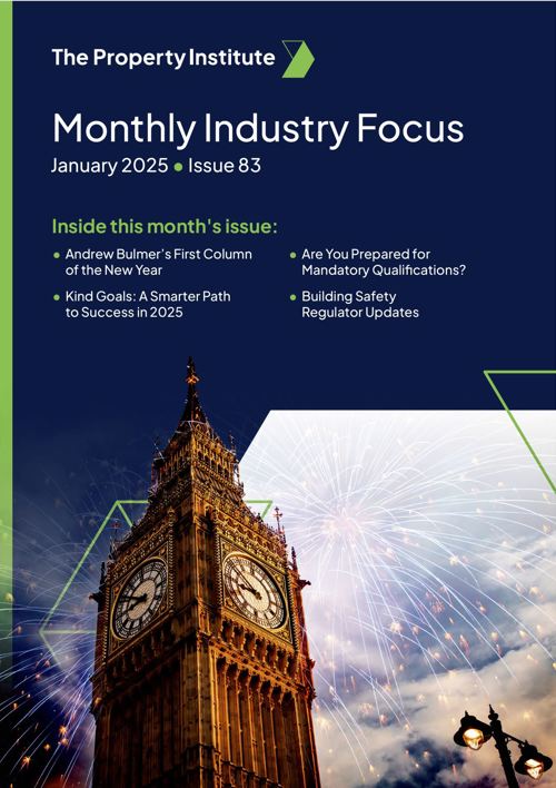 Monthly Industry Focus - January 2025