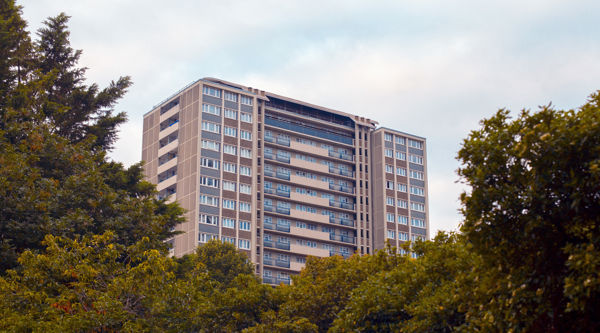 A council estate surrounded by trees