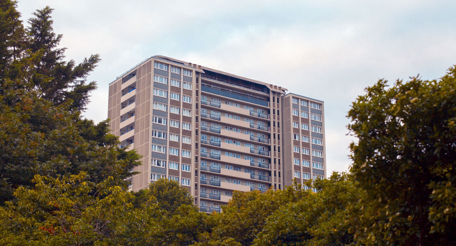 A council estate surrounded by trees