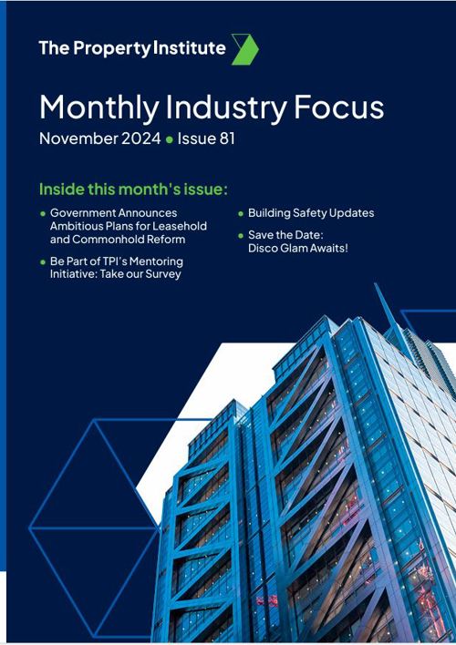 Monthly Industry Focus - November 2024