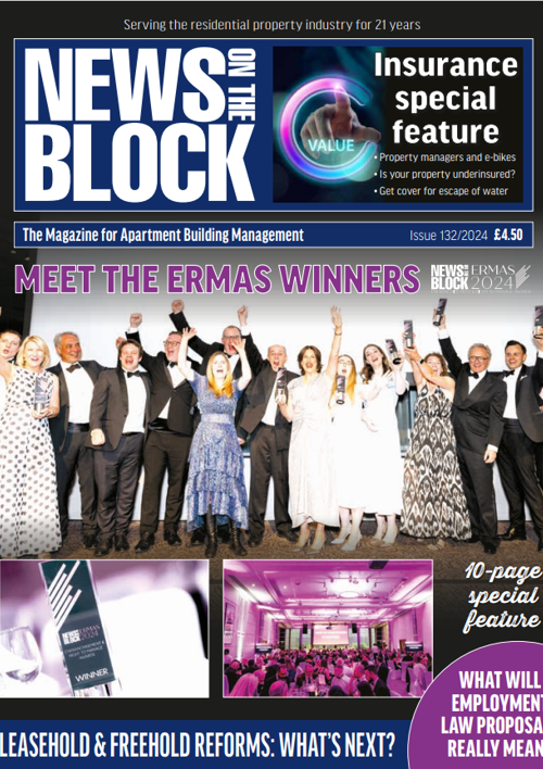 Issue 132 News on the Block